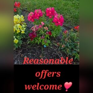 Vibrant Garden Flowers